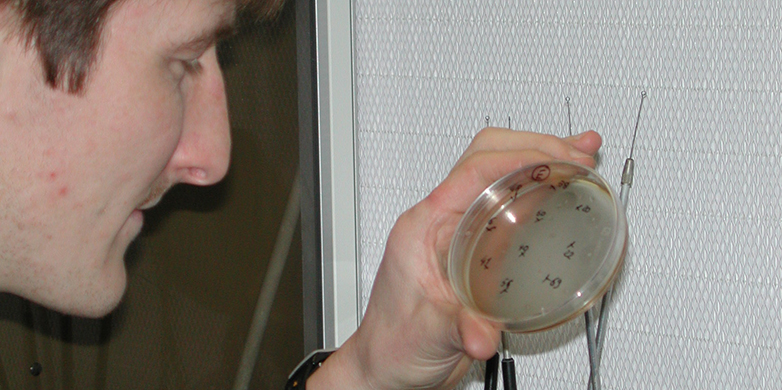 counting plates